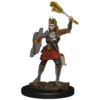 image of D&D Icons of the Realms Premium Human Cleric Miniature (pre-painted)