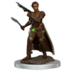 image of D&D Icons of the Realms Premium Shifter Rogue Miniature (pre-painted)